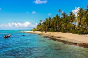 Scenic view of a tropical beach with palm trees and clear blue waters in San Andrés, Colombia.