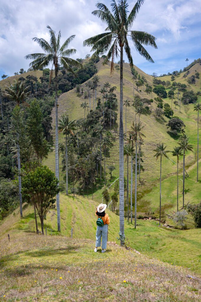 mejor época para viajar a Colombia
