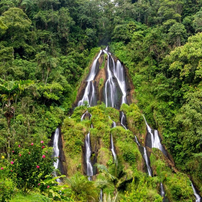 Closeup view of dense green jungle and the waterfall at Santa Rosa de Cabal, Colombia